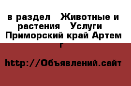  в раздел : Животные и растения » Услуги . Приморский край,Артем г.